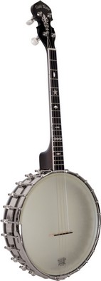 it 800 irish tenor banjo
