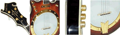 EBM Electric Banjo