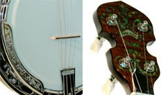 TS-250 Arch Top