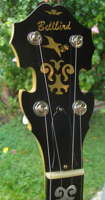banjo electric