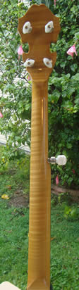 neck