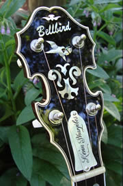 bell brd banjo