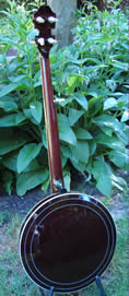 dark banjo necks
