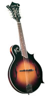 mandolins for Sale