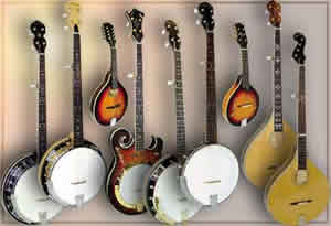 Goldtone Banjos