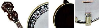 ps250 banjo