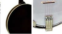 plectrum banjos