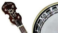 plectrum