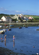 wales banjo camp