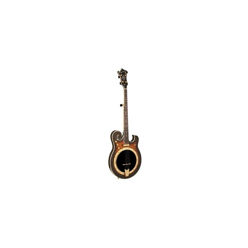 Gold Tone EBM 5 Plus Electric Banjo