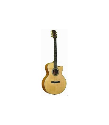 Gold Tone - Baritone Guitar (GBG)