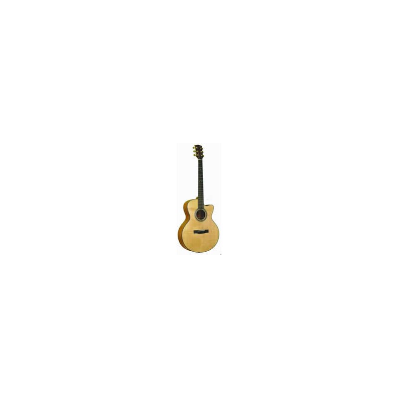 Gold Tone - Baritone Guitar (GBG)