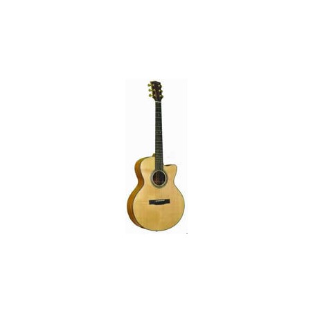 Gold Tone - Baritone Guitar (GBG)