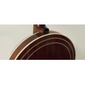 Recording King Banjo - RK- R80 - The Professional Banjo