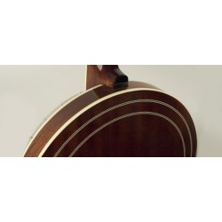 Recording King Banjo - RK- R80 - The Professional Banjo