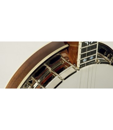 Recording King Banjo - RK- R80 - The Professional Banjo
