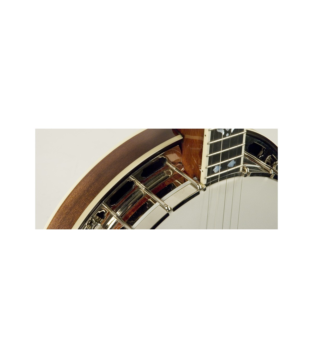 Recording King Professional Banjo RK-R80 >> Recording King Bluegrass Music  Instruments Banjos Over $1,000 | Banjos