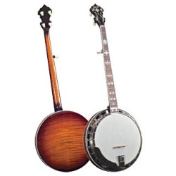 Best Price on Goldstar Banjos for FOR GF-300FE