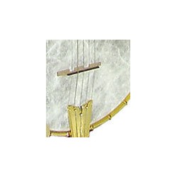 Goldtone Travel Banjo | TB 250 Traveler Deluxe | 19 Fret | A Scale