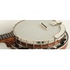 Recording King Banjo - The Madison RK-R25 Resonator Banjo