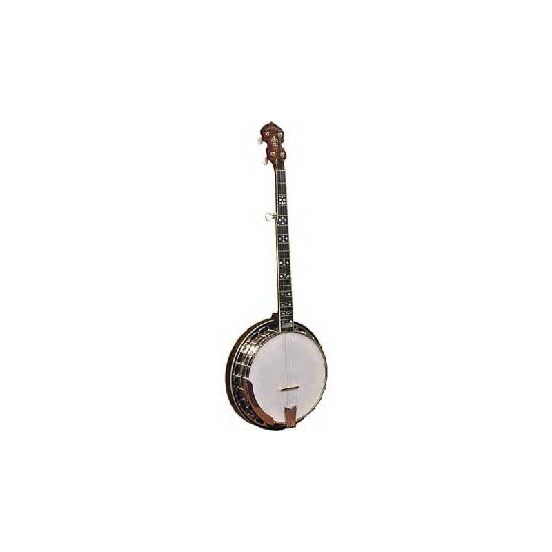 Gold Tone OB 250 With Special Wide Neck Option