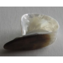 Tortoise Shell | Banjo Thumbpick | Replica