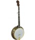Gold Tone OB-250G - Gold Plated Banjo