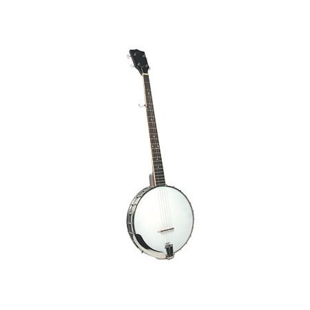 Rover Banjo - RB30 - Good Deal for Beginner Banjo