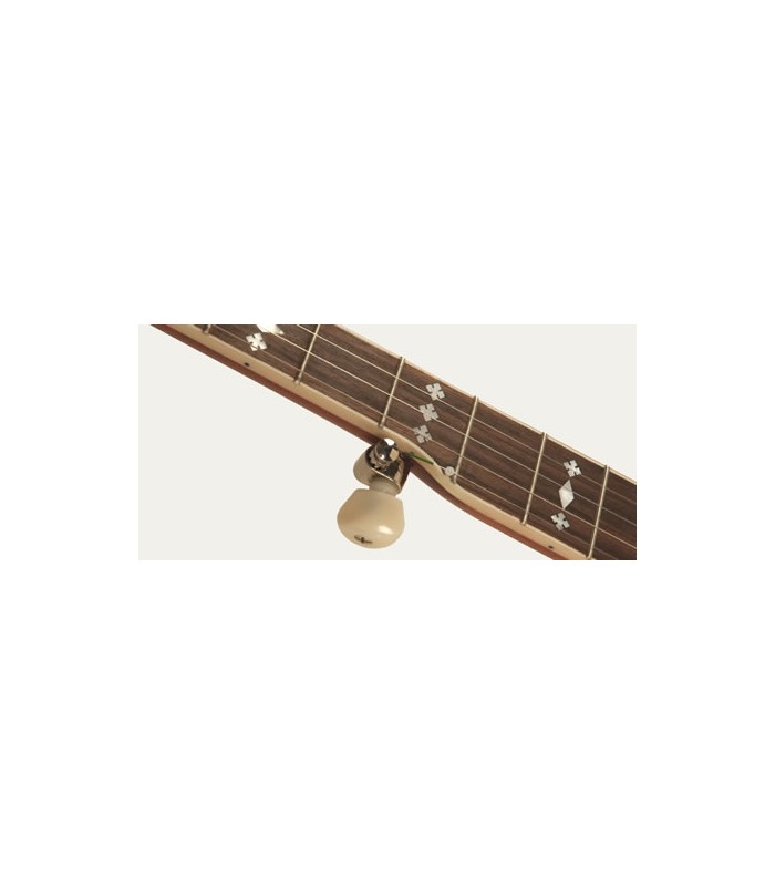 Recording King RK 30 - RK R30 - Pro Bluegrass Banjo with Flathead Tone Ring