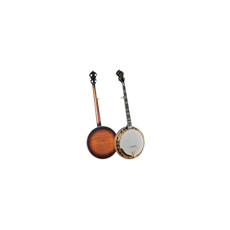 Gold Star GF-300FE Professional Banjo