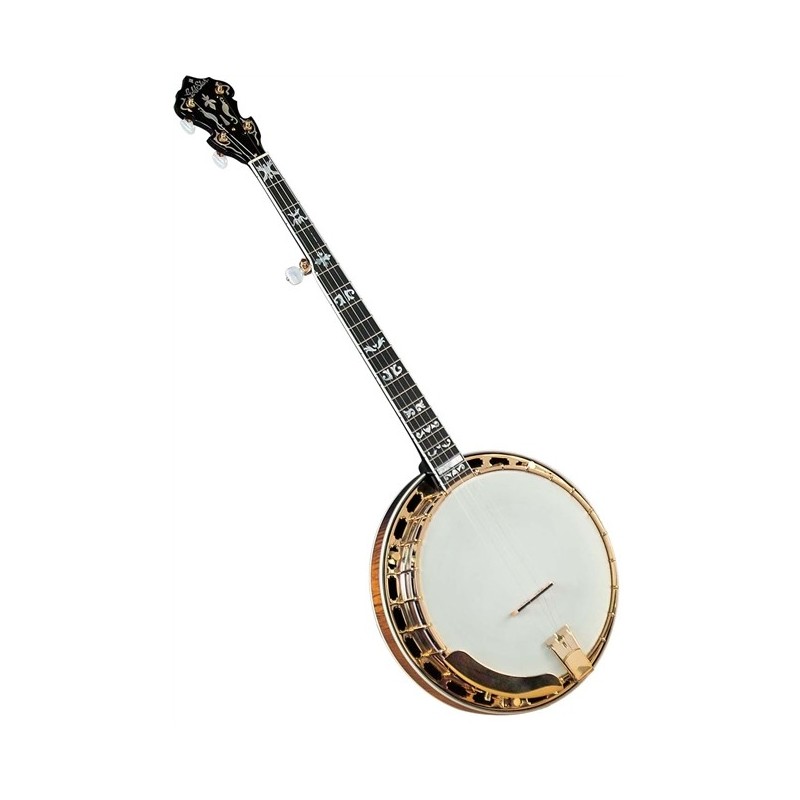 Gold Star GF-300FE Professional Banjo