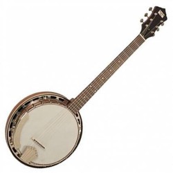  The Madison RK-G25 6-String Banjo