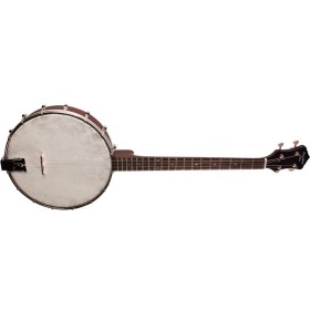 Recording King RKT-05 Dirty 30's Tenor Banjo | 4-string | Irish Tuning