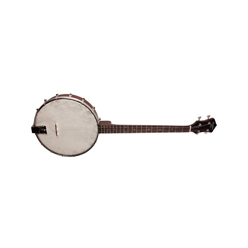 Recording King RKT-05 - 4-string Tenor Banjo