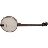 Recording King RKT-05 - 4-string Tenor Banjo