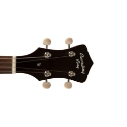 Recording King RKT-05 Dirty 30's Tenor Banjo | 4-string | Irish Tuning