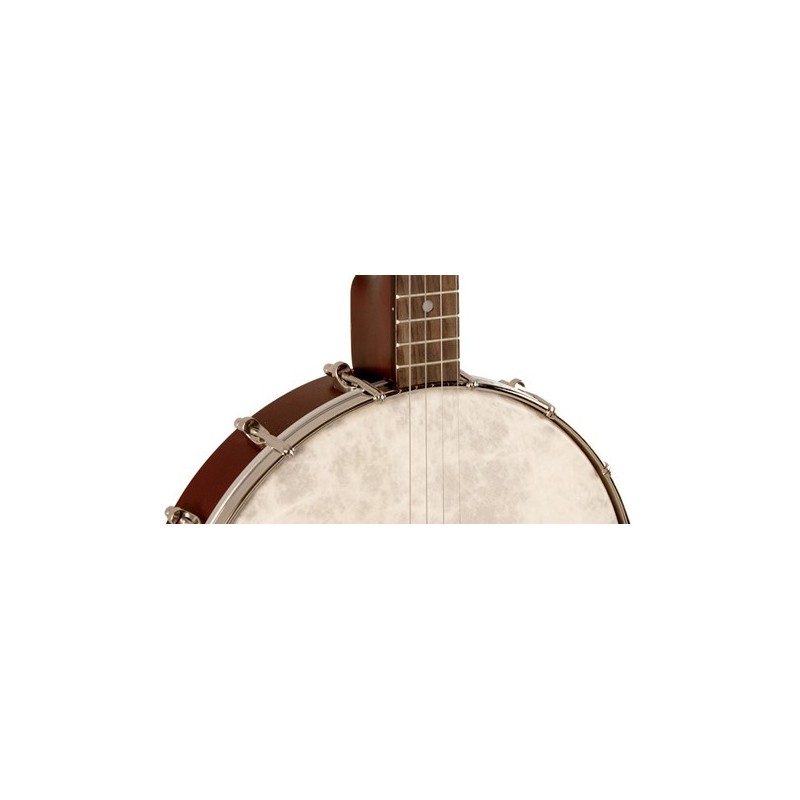 Recording King RKT-05 - 4-string Tenor Banjo