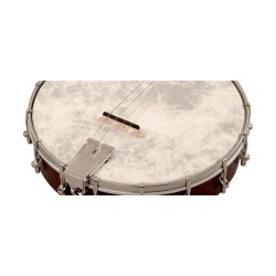 Recording King RKT-05 Dirty 30's Tenor Banjo | 4-string | Irish Tuning