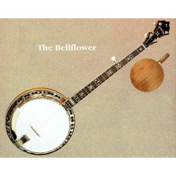 Stelling Banjos on Sale at BanjoTeacher.com!