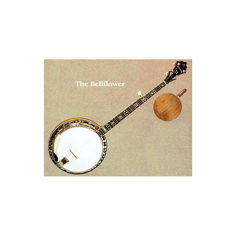 Stelling Banjos on Sale at BanjoTeacher.com!