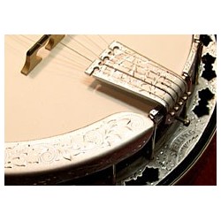 Stelling Banjos on Sale at BanjoTeacher.com!
