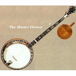 Stelling Banjos on Sale at BanjoTeacher.com!