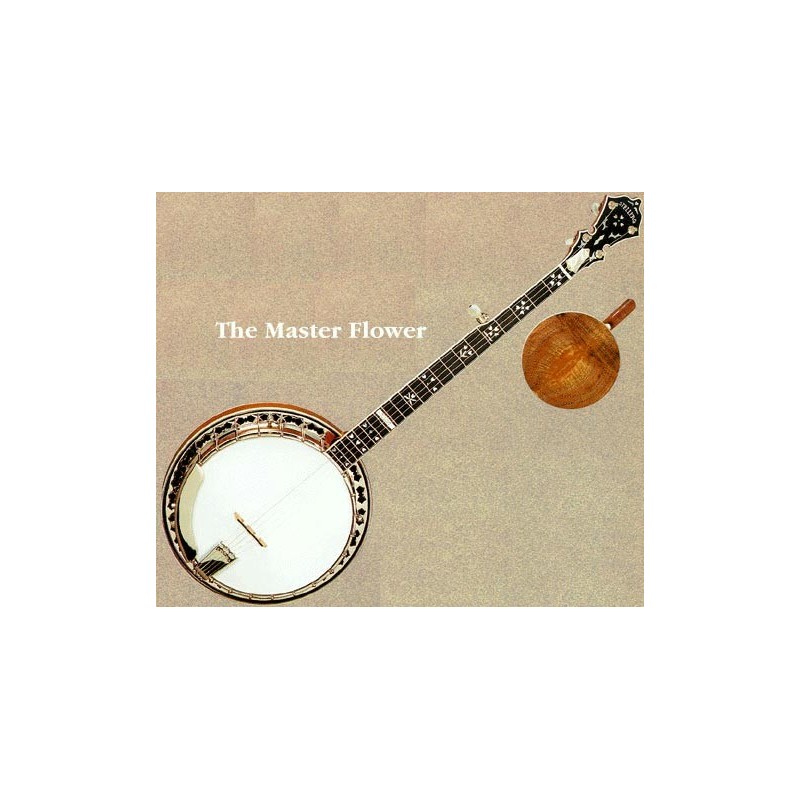 Stelling Banjos on Sale at BanjoTeacher.com!