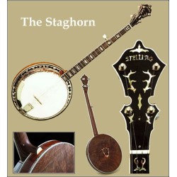 Stelling Banjos on Sale at BanjoTeacher.com!