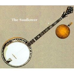 Stelling Banjos on Sale at BanjoTeacher.com!