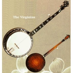 Stelling Banjos on Sale at BanjoTeacher.com!