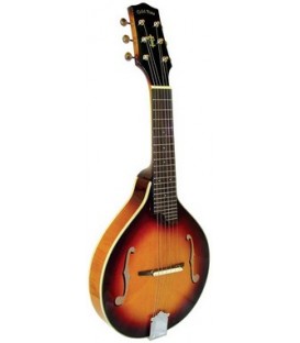 Gold Tone GM-6 Six String Mandolin