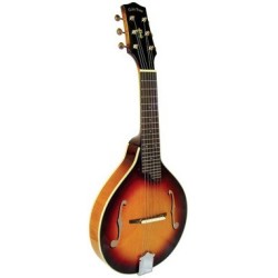 Gold Tone GM-6 Six String Mandolin