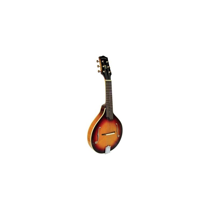 Mandolin - Goldtone - GM-6