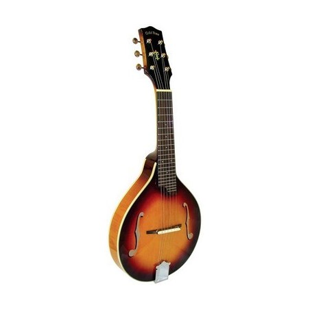 Gold Tone GM-6 Six String Mandolin